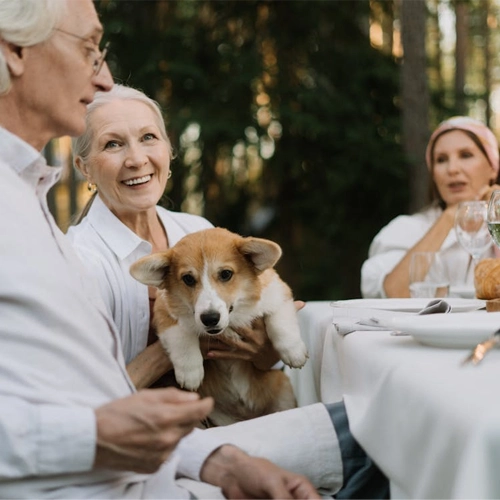 seniors with adhd support group